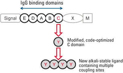 proteina-structure